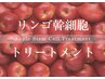 【リンゴ祭り】髪質改善ハリウッドトリートメント&髪質改善リンゴ幹細胞TR