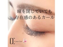 サロン デ ベジェッサ グランツ(salon de belleza Glanz)の雰囲気(ブラックティントでフサフサまつ毛♪)
