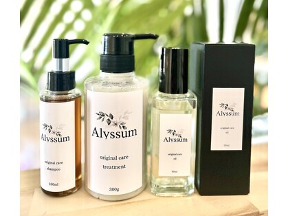 アリッサム(Alyssum)の写真