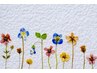 【初来店】カット+特化トリートメント+頭皮クレンジング/お試し/ 