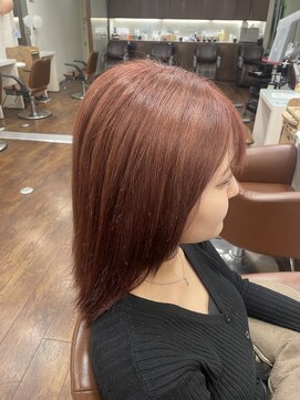 エムタニグチイプセ(M.TANIGUCHI ipse) オレンジベージュ