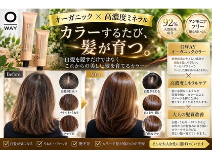 エレフォリー(Elephorie)の写真