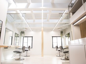 Lomalia 青山/南青山 【ロマリア】