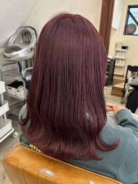 アルファ アルファ(ALPHA ALPHA) ワインレッドカラー