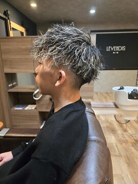 レベンディス(LEVENDIS) スペインカール風ツイスパ&メッシュ