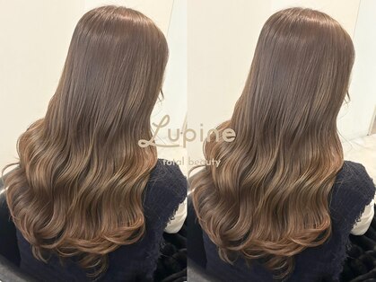 ルピナス(Lupine.)の写真
