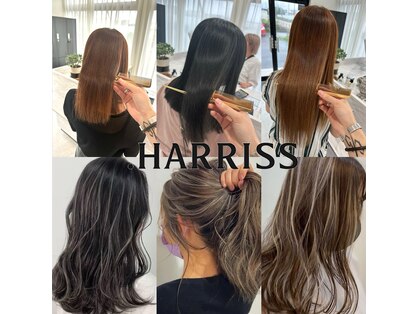 ドットハリス(.HARRISS)の写真