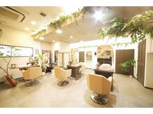コモレビ(ko.mo.re.bi)の雰囲気（植物とアンティークに囲まれた、ゆったりと過ごせる店内です。）