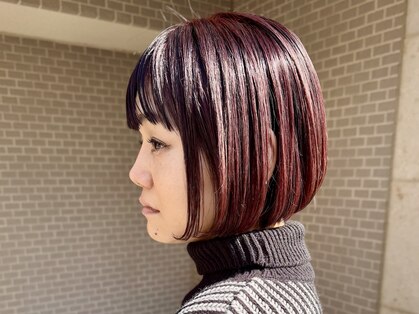 レ セゾン(Les Saisons)の写真