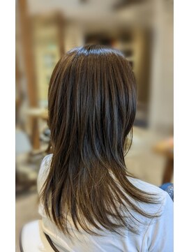 トランク(Trunk) ミディアム。