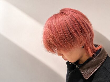 リバード(reverd)の写真