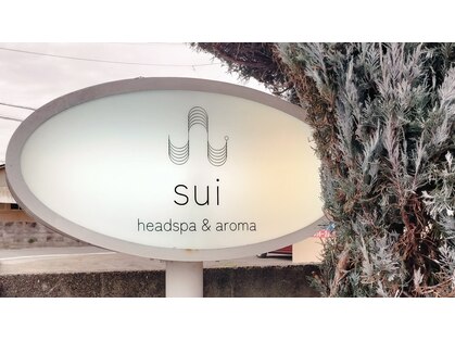スイ(sui)の写真
