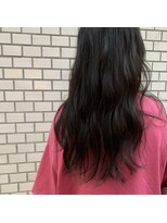 リー 甲子園(Lee) ダークブラウン