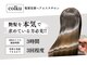 コルク(colku)の写真