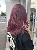 ピンクラベンダー