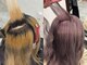 クインセス(Quincess)の写真