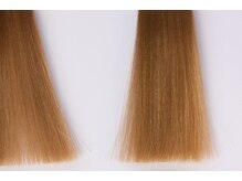  STEP 5: 【持続力の秘密】毛髪内部を「架橋」する特許級技術