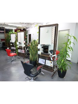 髪質改善でもっと綺麗に！