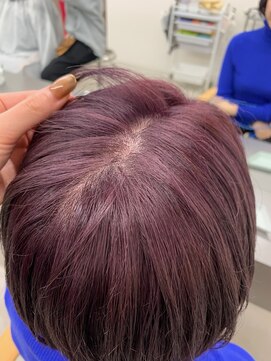 ツバメ ヘアー(TSUBAME HAIR) 3色つめこんだこだわり暖色カラー