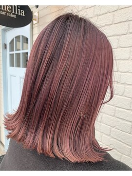 カメリア (camellia) 【NAOYA】ピンクシャドールーツ