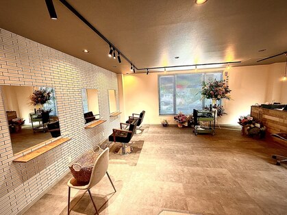 アルセ(arce)の写真