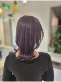パープル ラベンダーカラー