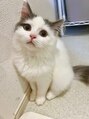 ルッカ(Rukka)&nbsp;我が家のアイドル【こてつ】です！メロメロでデレデレな毎日