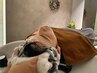【ヘッドスパ】ブロー込み40分