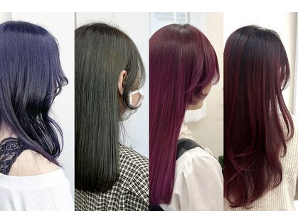 イシュ(ish.)の写真