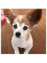 ヘアベース(Hair Base)&nbsp;蒲ヶ原 枝里