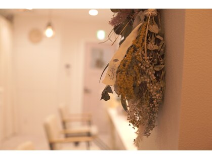 ノアグリーン(noa green)の写真