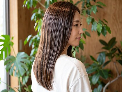 ソーリ(SORI)の写真