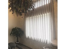 ペコリー(pecoree)の雰囲気（２つの個室を用意しております。用途に合わせてご利用ください！）