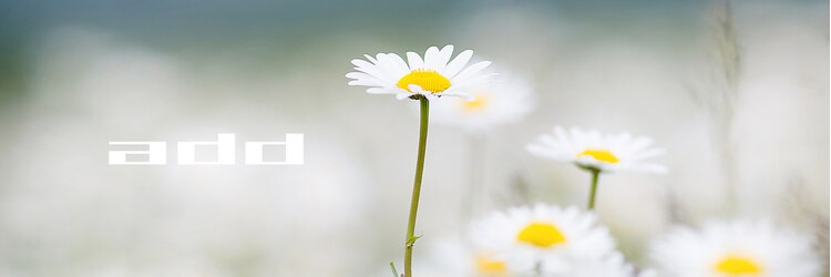 アッド バイ ケーツー(add by K-two)のサロンヘッダー