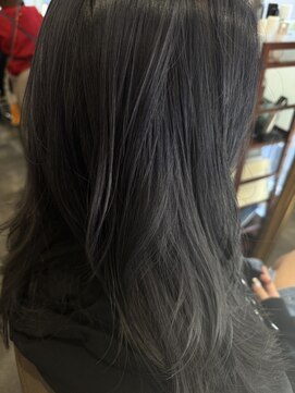 ローレン(Loren) ダークブルーアッシュ