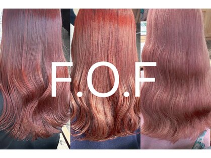 ホフ 大阪心斎橋店(F.O.F)の写真