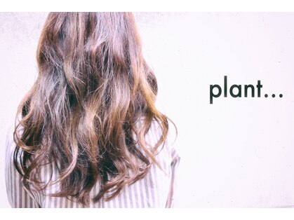 プラント(plant...)の写真