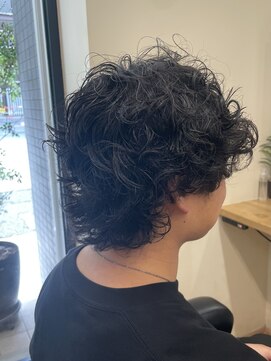 アルター(aL ter) 【メンズウルフ×パーマ】ダークアッシュ/鎌取/林愛華