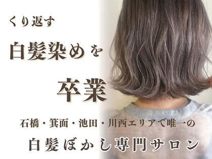 ハロー 池田店(Hollow)の写真