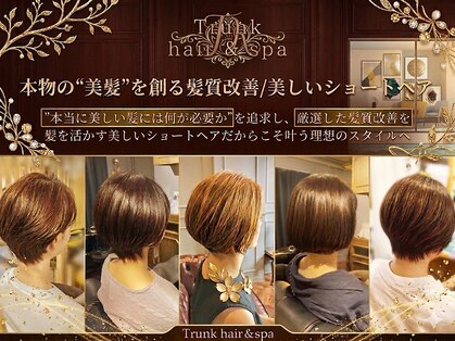 トランク(Trunk)の写真