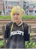 デザインカラーカチモリスタイル