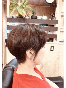 バディ(Buddy) ショート