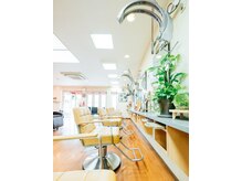 サロンドイヴ(Salon de Eve)
