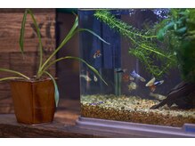 【京急蒲田/髪質改善/白髪染め】