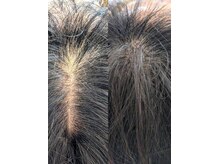 美しい仲間たちファッションハウスヌウ