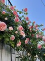 フッタ(Futta) 四季を通して色々なバラが咲いています。
