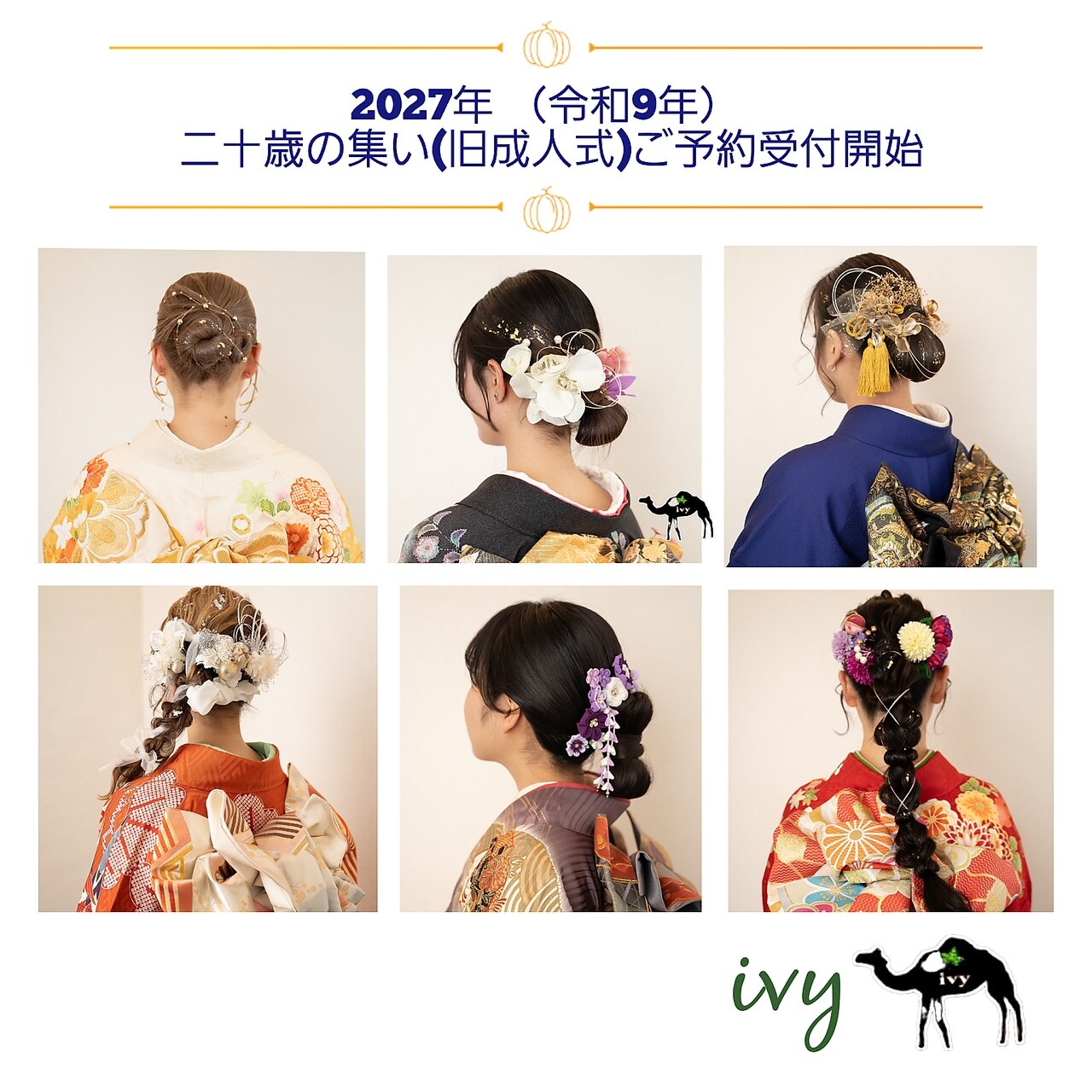 IVY Beauty Partner 美容家電 美品 アイビー化粧品 ビューティーパートナー IVY 美顔器 未来型美顔器