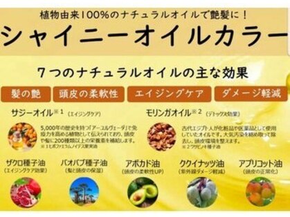 染め家 茨木店の写真