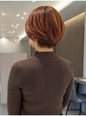 コッパーブラウンショート【宝塚南口駅前駅】