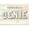 エクステンションジーニー(extension GENIE)のお店ロゴ